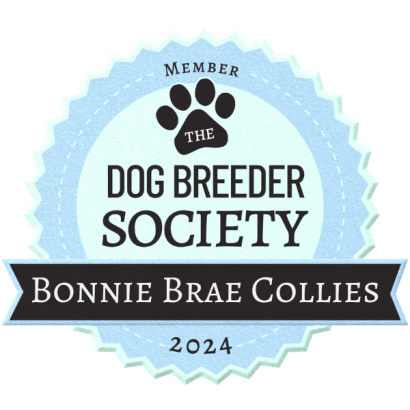 The Dog Breeder Society - Bonnie Brae Collies