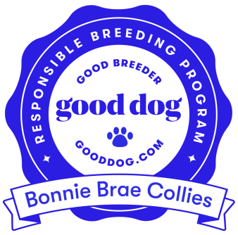Good Dog - Responsible Breeding Program