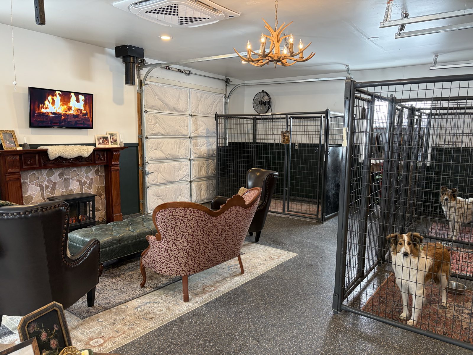 Inside The Cottage: a cozy, climate-controlled boarding room with spacious kennels, a fireplace, and collies relaxing
