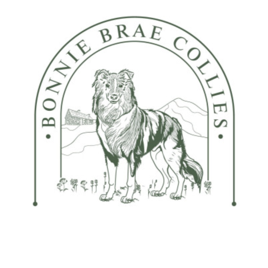 Bonnie Brae Collies crest