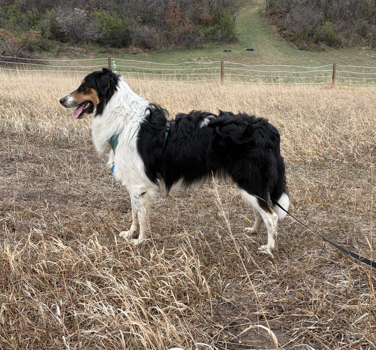 Moonshine grown up